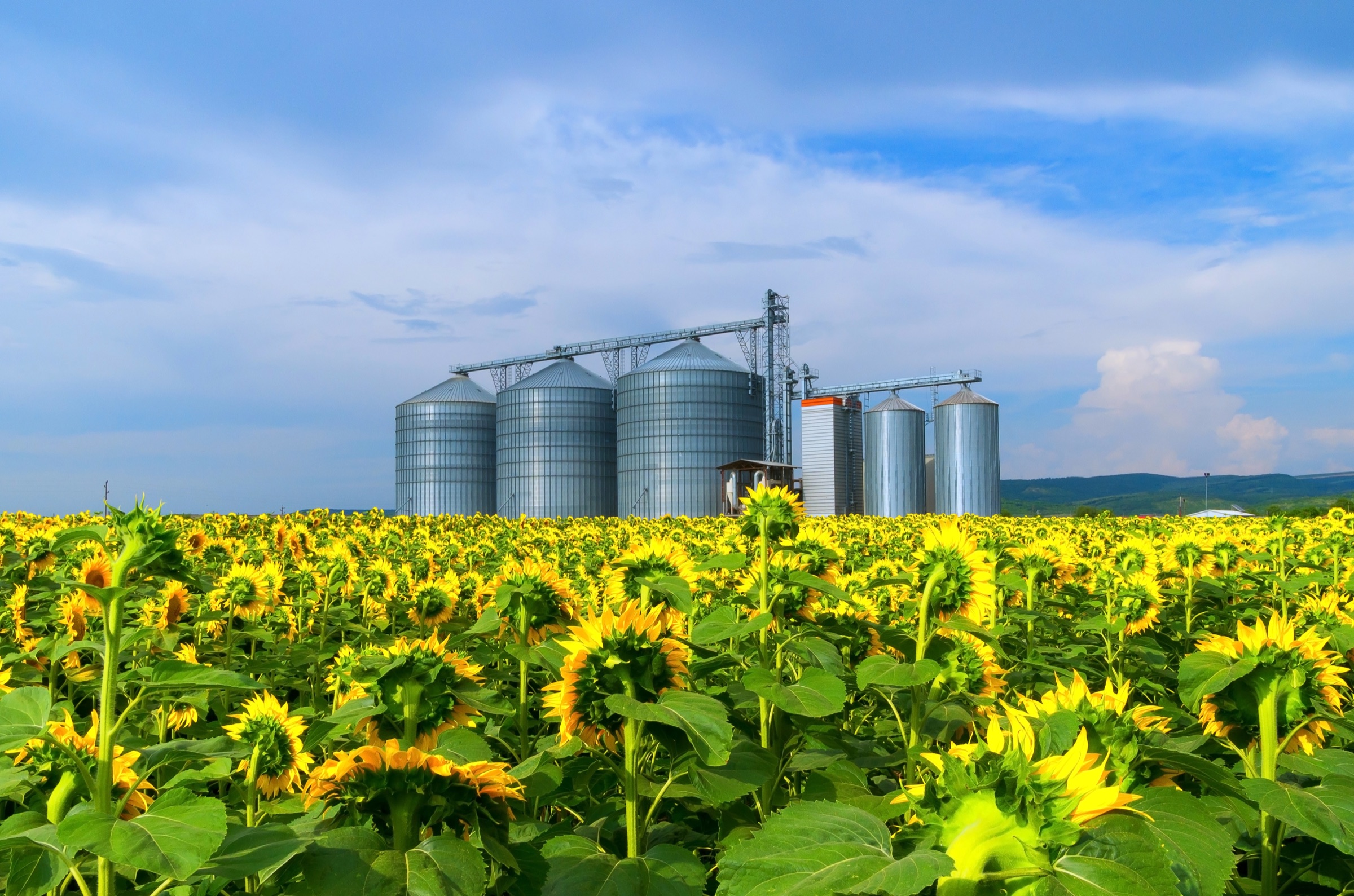 Grain storage and agricultural processing